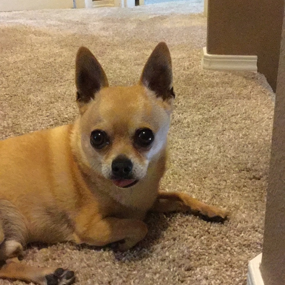 Meet Your Posher...S.B.